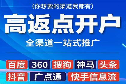 SEM竞价实战：成功案例解析